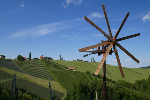 Bild 7 von 8